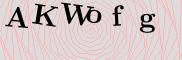 CAPTCHA Image